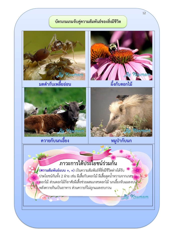 พิมพ์งาน และคีย์ข้อมูล - รับพิมพ์งาน งานวิจัย ผลงานเลื่อนระดับ วิทยานิพนธ์ - 17