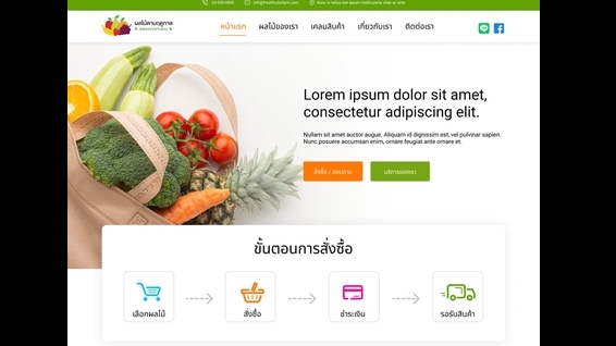 Wordpress - รับออกแบบเว็บไซต์ด้วย wordpress  - 3