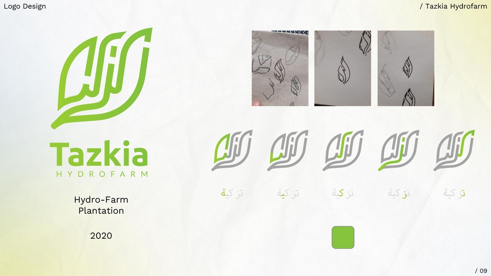 Desain logo Tazkia Hydrofarm, jasa pembuatan logo profesional untuk perusahaan hidroponik