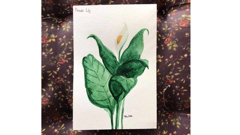 วาดภาพประกอบ - รับวาดภาพประกอบหลากหลายเทคนิค - 9