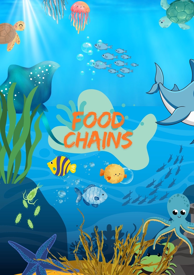 Infografis desain data tentang rantai makanan di lautan dengan gambar hewan laut