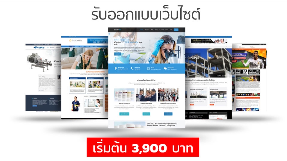 Wordpress - รับออกแบบเว็บไซต์ด้วย Wordpress ดูแลให้คำปรึกษาตลอดอายุเว็บ - 1