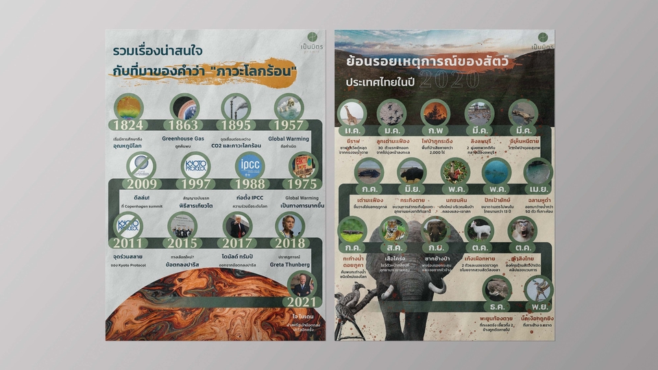 Infographics - อินโฟกราฟิก(Infographic) สรุปข้อมูลความรู้ สื่อการเรียนการสอน อธิบายข้อมูลสินค้า - 1