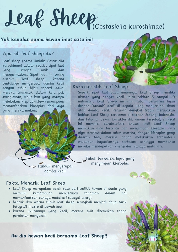 Infografis tentang Leaf Sheep: Hewan kecil yang unik dan menarik, dengan informasi lengkap tentang karakteristik dan fakta menariknya.