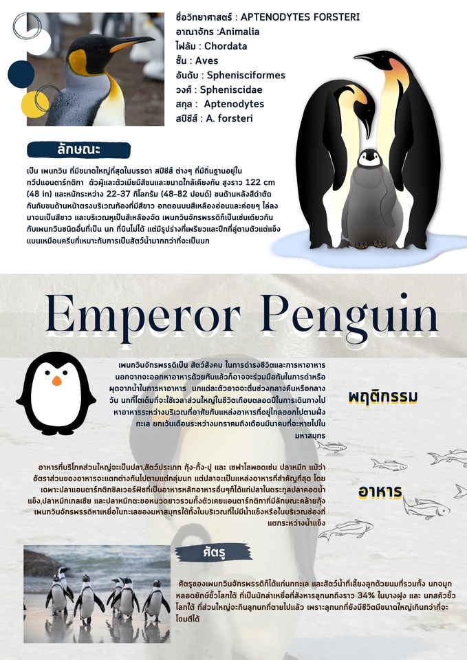 Presentation - ออกแบบ presentation - 4