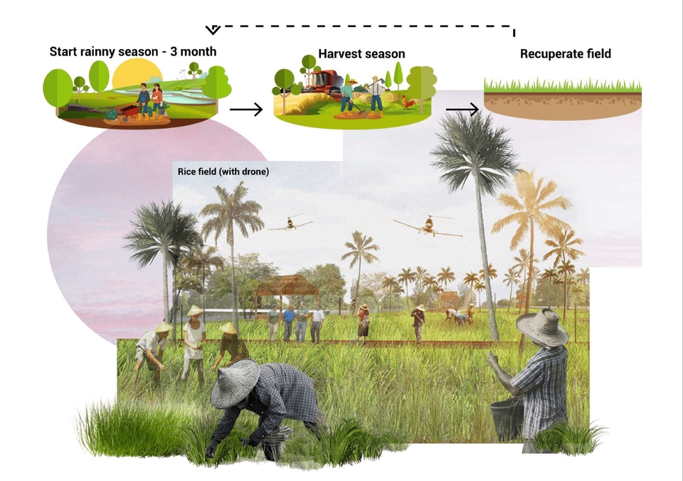 3D Perspective - Perspective- color Plan - Legend - Present (photoshop, Ai, Ind,Powerpoint) - 3