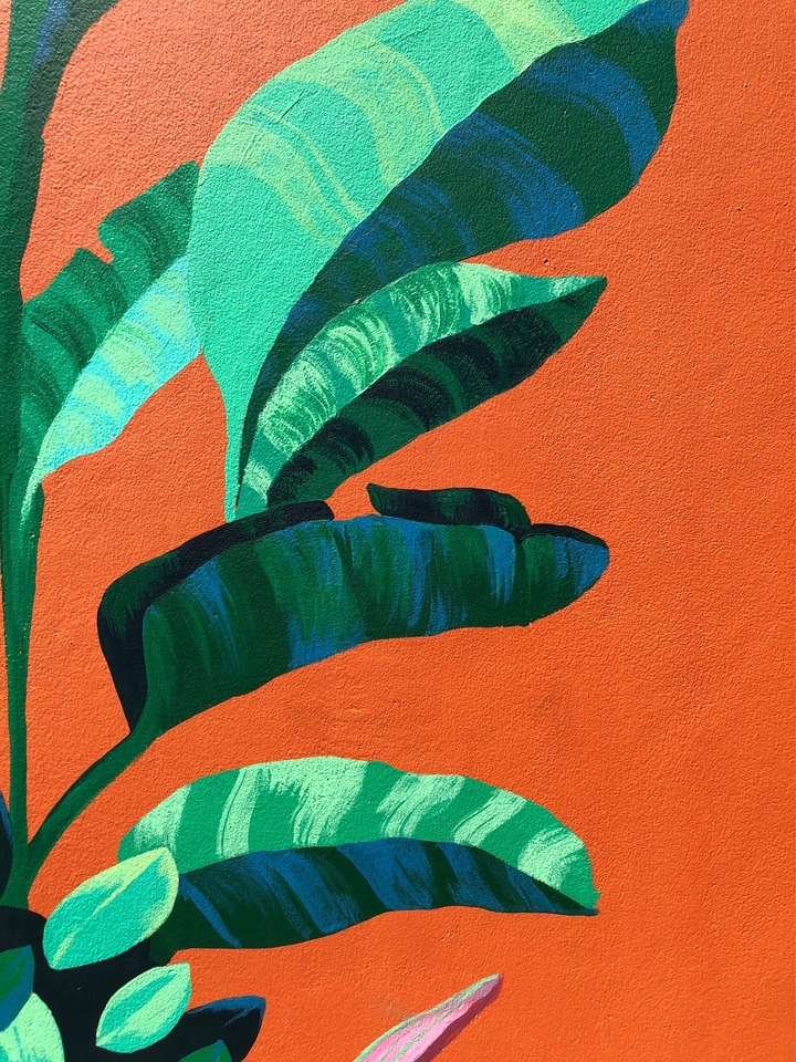 รับวาดภาพประกอบลายใบไม้สีเขียวบนพื้นหลังสีส้ม