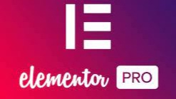 Technical Support - Jasa Instalasi Elementor Pro Legal Langganan Tahunan - 1