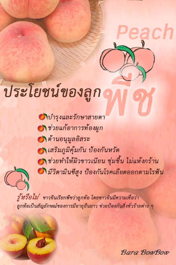 เขียนบทความ - เขียนบทความเกี่ยวกับสุขภาพและความงาม คริปโต ธุรกิจ และอื่นๆ - 6