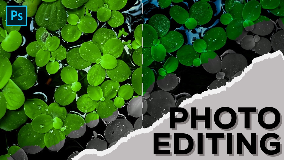 Image Editing Edit Background, Smoothing, Filtering,