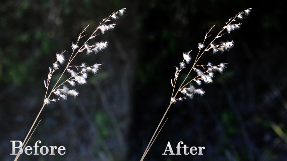 รับแต่งรูปภาพ ปรับแสงรูปภาพ ก่อนและหลังปรับแต่งภาพด้วย photoshop