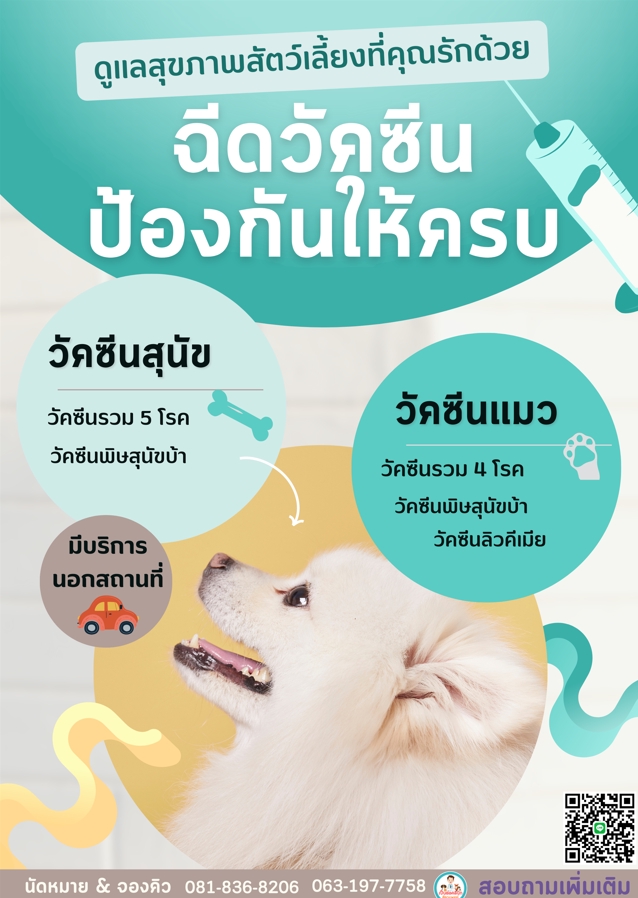 สื่อสิ่งพิมพ์และนามบัตร - รับออกแบบ รับทำโปสเตอร์  โฆษณา นามบัตร และอื่นๆ (ปรับแก้งานได้จนกว่าลูกค้าจะพอใจ) - 16