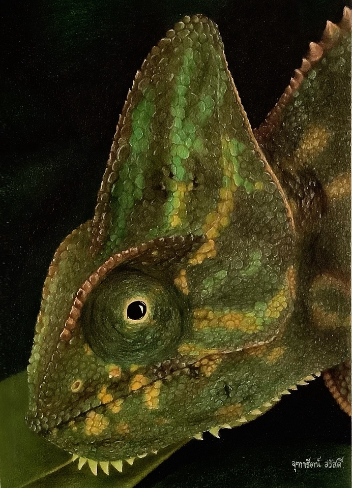 Banner โฆษณา - งานออกแบบสื่อโฆษณา - 9