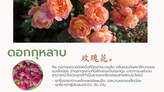 แปลภาษา - รับแปลไทย -จีน - 3