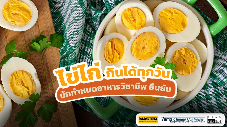 Banner โฆษณา - ิออกแบบ Banner โฆษณาทุกชนิด - 10