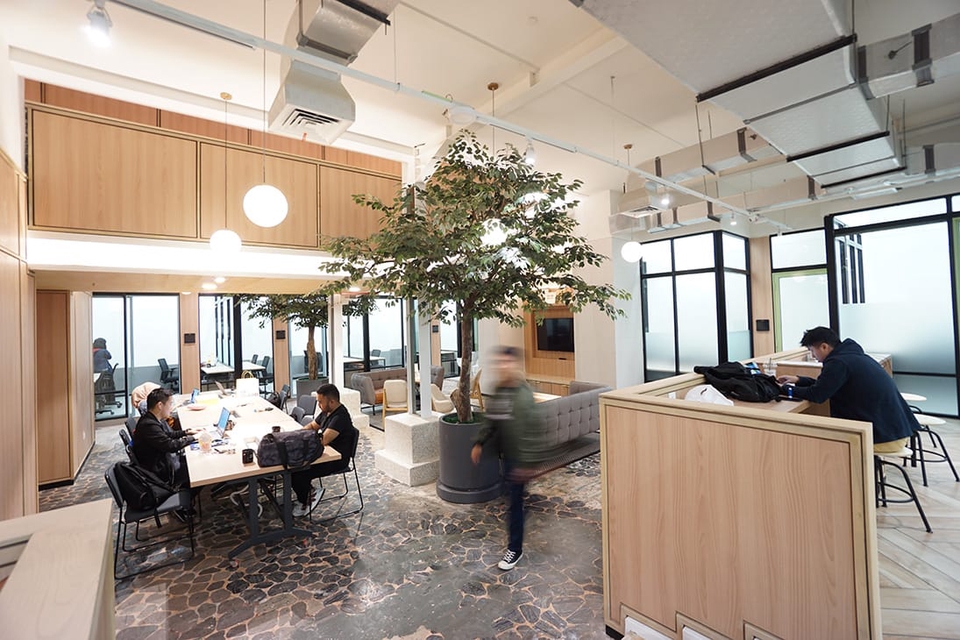 Web Development - Web / Front-end / Back-end / Full-Stack Expert Wordpress,Wix,Shopify,Angular,React,Vue,Node,JS,HTML - 29