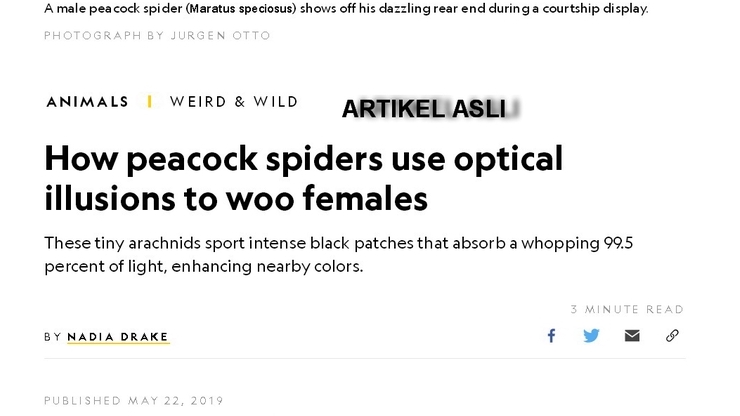 Penerjemahan - Penerjemah Eng-Ind Ind-Eng - 3