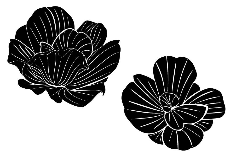 รับวาดรูปดอกไม้สีดำขาว ภาพประกอบดอกไม้สวยงาม