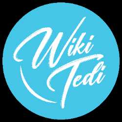 wikitedi