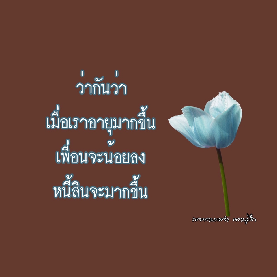 Banner โฆษณา - รับเขียนคำกลอน ข้อความ พร้อมรูปประกอบทุกแนว - 8