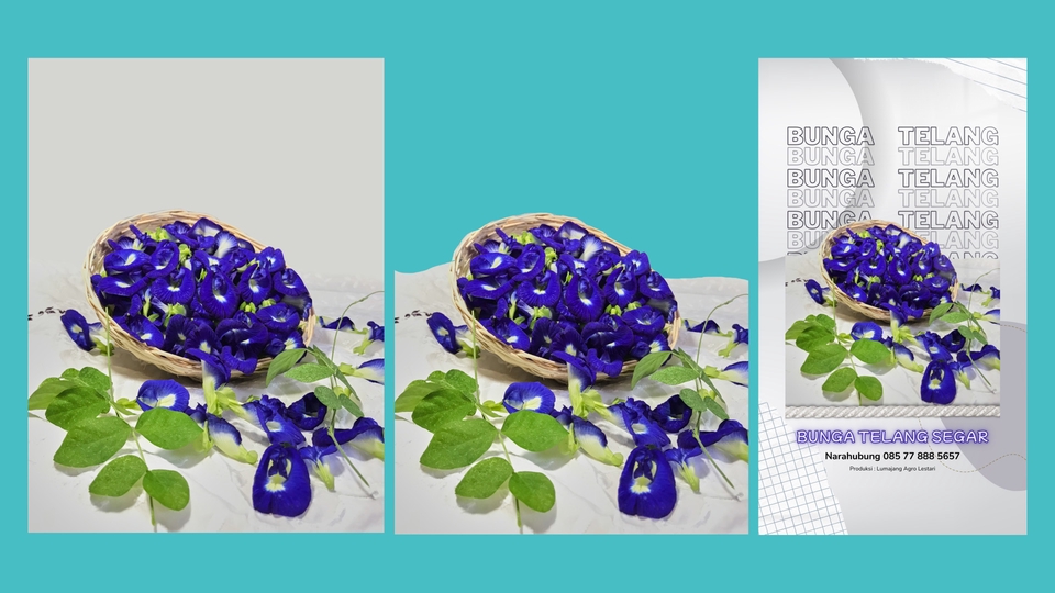 Buang Background Cepat Rapi Responsive