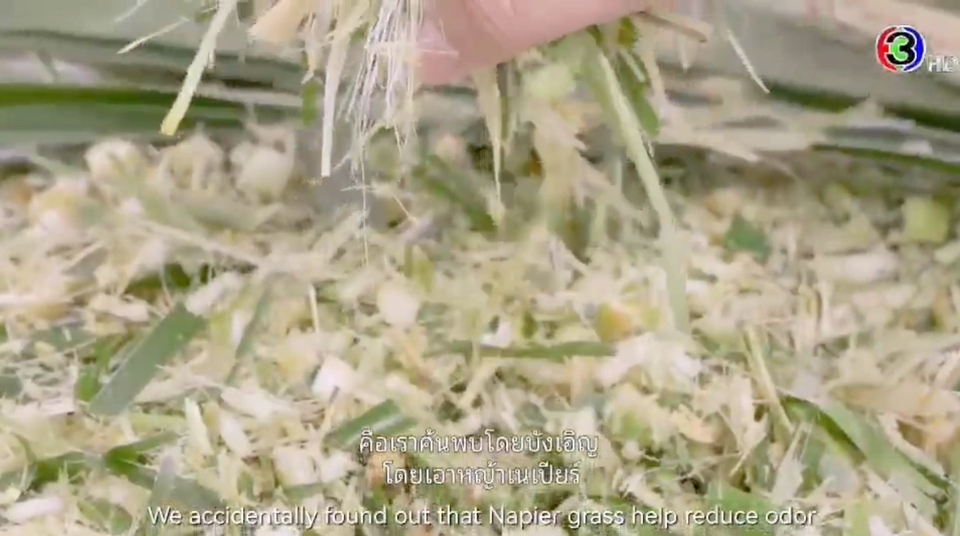 แปลภาษา - VDO Translation แปลภาษาจากคลิปวิดีโอ - 5