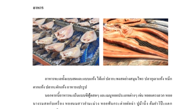 พิมพ์งาน และคีย์ข้อมูล - รับพิมพ์งานทั่วไป ราคาคุณภาพ  - 4