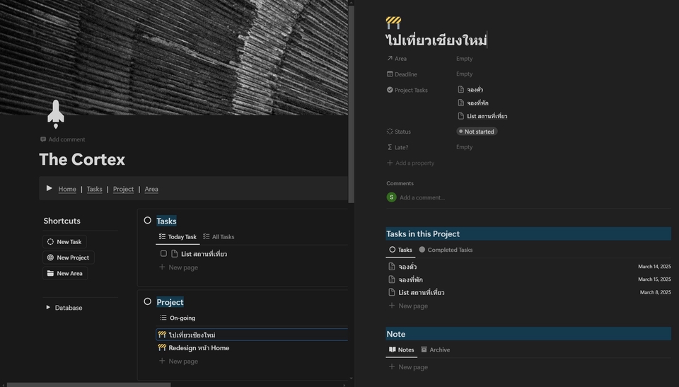 อื่นๆ - The Cortex: An Essential Notion Template - 3