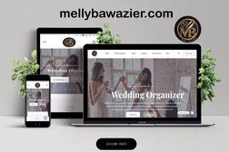 Jasa Pembuatan Website WordPress Premium -