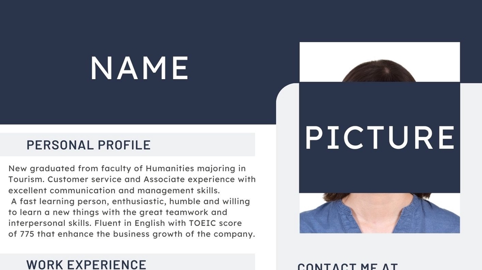 Portfolio & Resume - Profesional Resume - 1