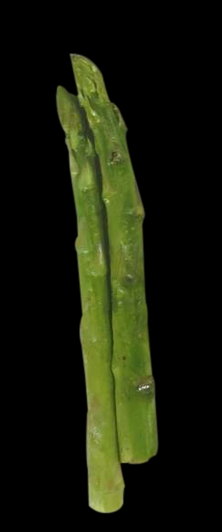 ไดคัท & Photoshop - ไดคัท ตัดพื้นหลัง ภาพทุกชนิด - 10