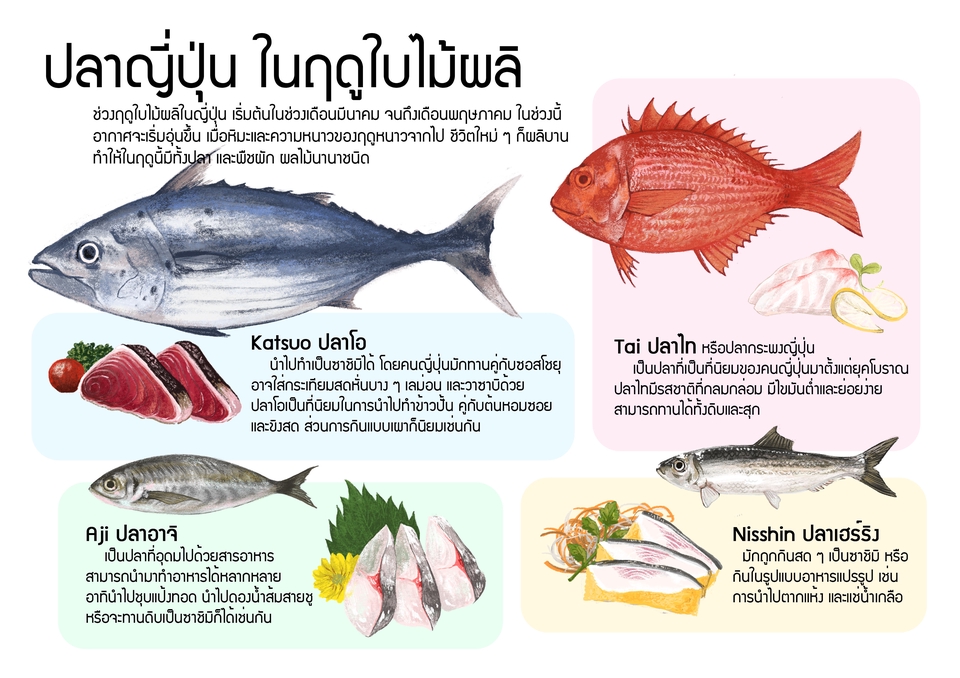 วาดภาพประกอบ - รับวาดภาพสัตว์ แนว semi-realistic - 2