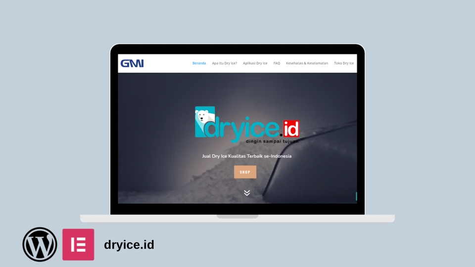 Jasa Pembuatan Website Profesional dan Murah - Dryice.id