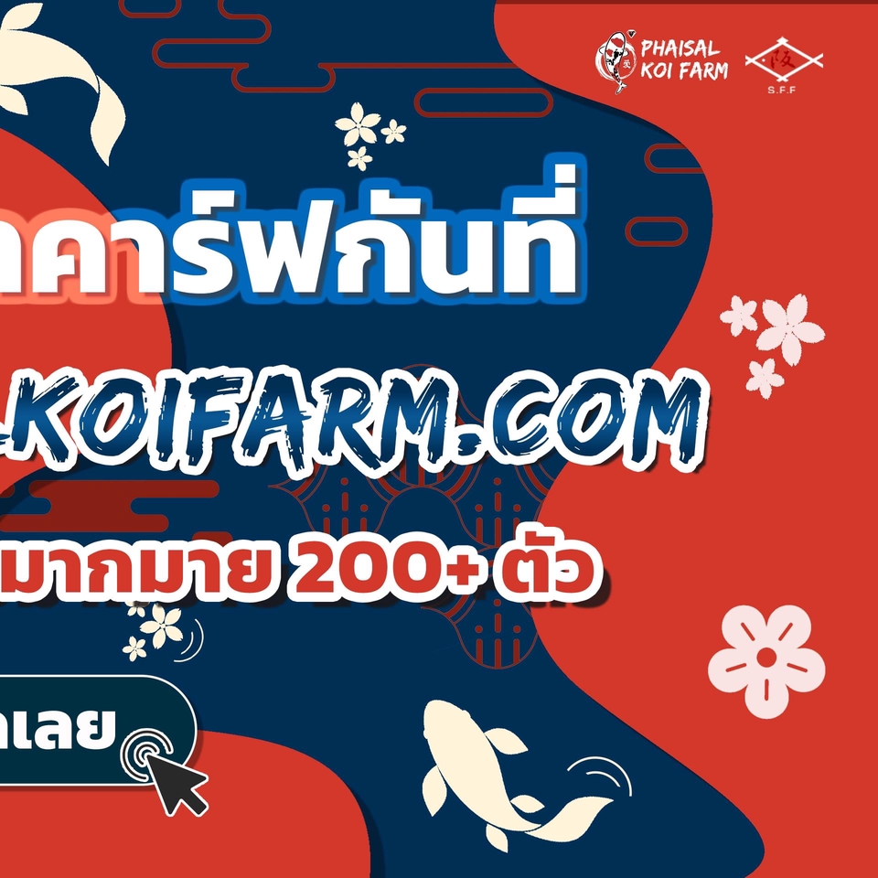 Banner โฆษณา - ออกแบบ Banner / Content Online/ ภาพโฆษณา ทางโซเชียล - 5