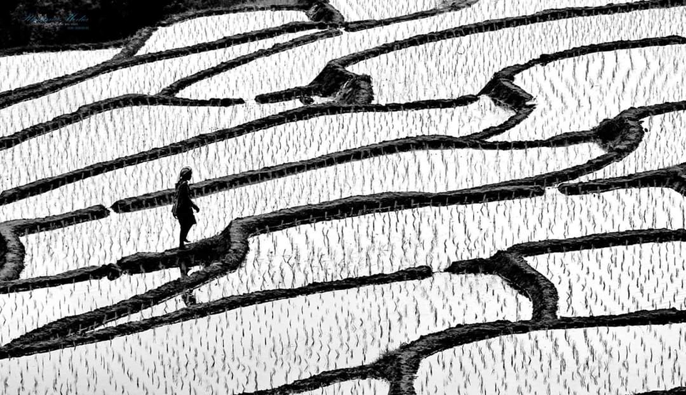 ถ่ายและตัดต่อวีดีโอ - ผลิตงานสารคดี - 2