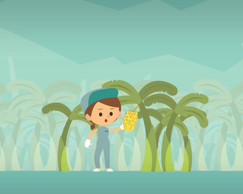 Motion Graphics - ร่วมงานผลิตสื่อวิดีโอ Motion graphic - 2