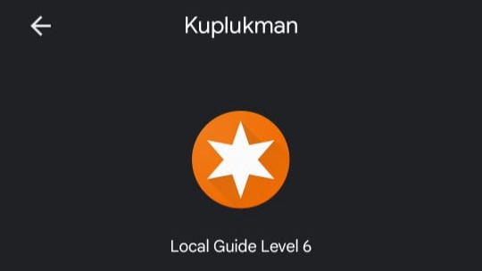 Memberi Review - Jasa Review Bintang 5 Google Bisnis / Maps - 2