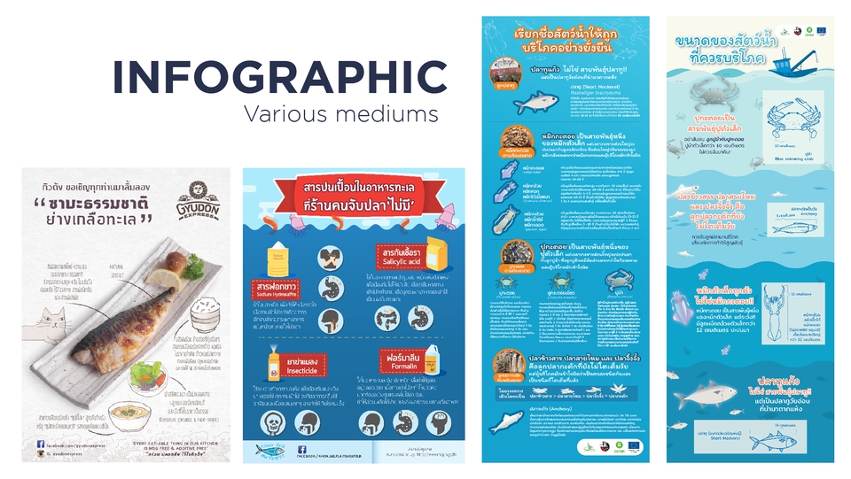 Infographics - Infographic Basic - 5