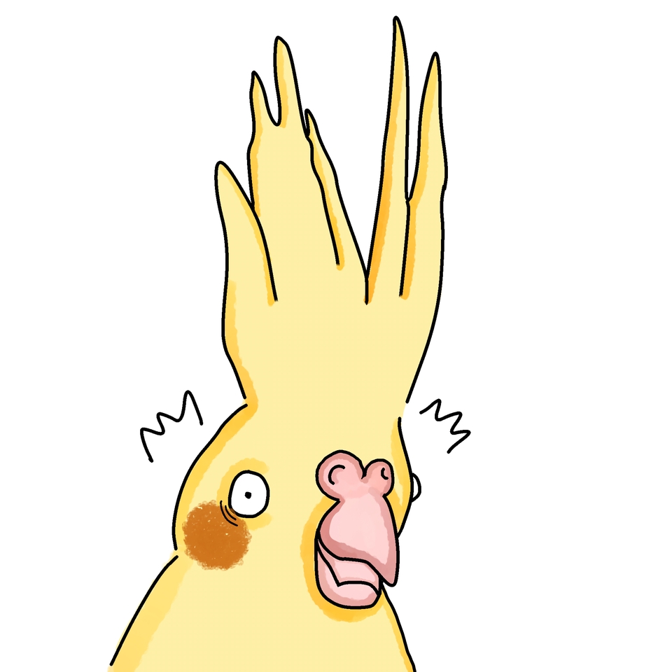 รับวาดรูปการ์ตูน นกแก้ว เฉี่ยว 3D น่ารัก สีเหลือง วาดภาพลายเส้น การ์ตูน 3D