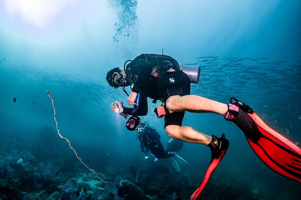 Photography - ถ่ายภาพใต้น้ำ Underwater Photography - 6