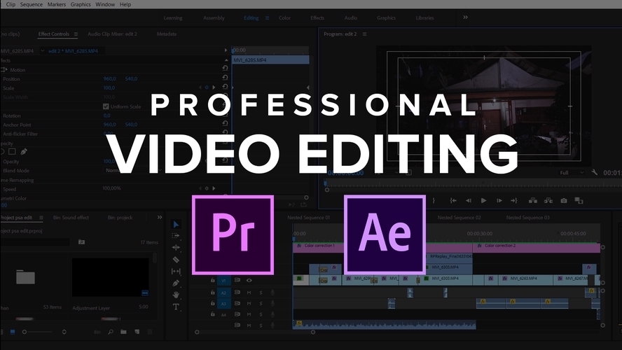 Video Editing - VIDEO EDITING PROFESSIONAL UNTUK KONTEN YOUTUBE, FILM PENDEK, VLOG, DLL.  - 1