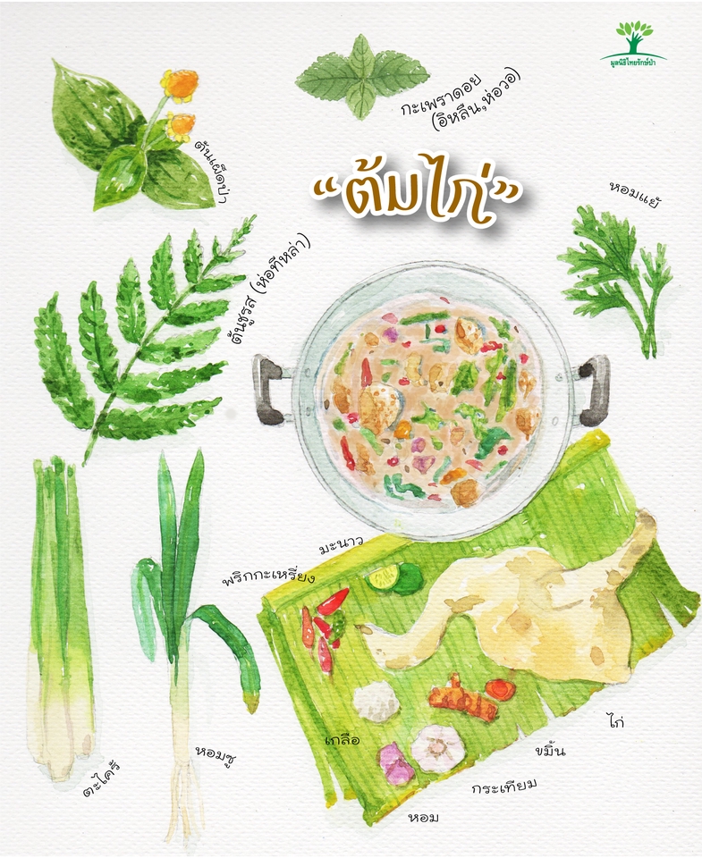 วาดภาพประกอบ - วาดภาพประกอบฟรีสไตล์ - 13