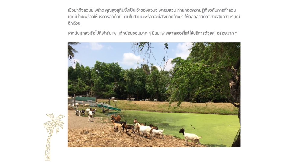 เขียนบทความ - งานเขียนเพื่อประชาสัมพันธ์องค์กร - 14