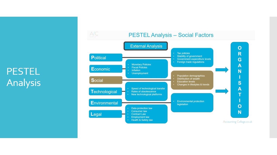 การตลาด - Business Analysis and Planing - 7