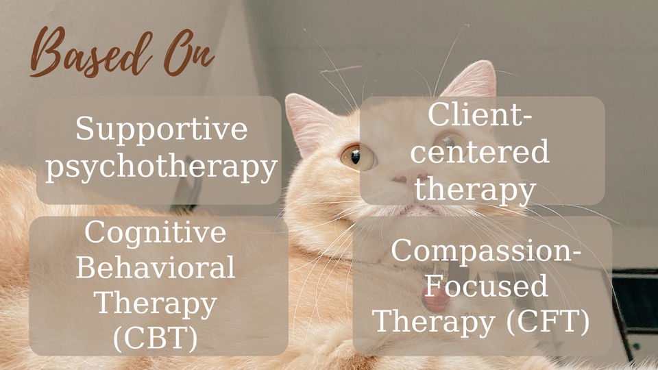 ปรึกษาจิตแพทย์ออนไลน์ รับปรึกษาปัญหาสุขภาพจิต