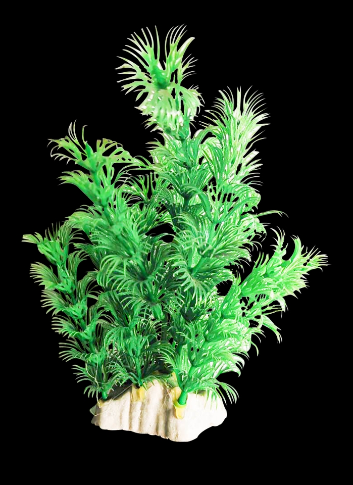 ไดคัท & Photoshop - ไดคัทฉากหลังออก - 11