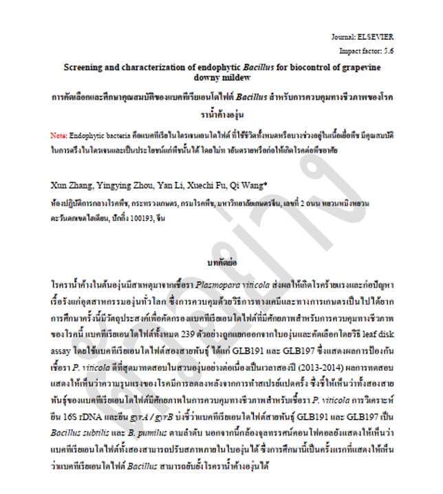 แปลภาษาอังกฤษเป็นไทย แปลบทความวิชาการ แปลงานวิจัย วิทยาศาสตร์ บทคัดย่อ  และบทความทั่วไป