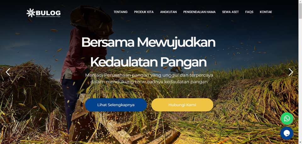 Web Development - Jasa Web Company Profile & Sistem Informasi  - - 5