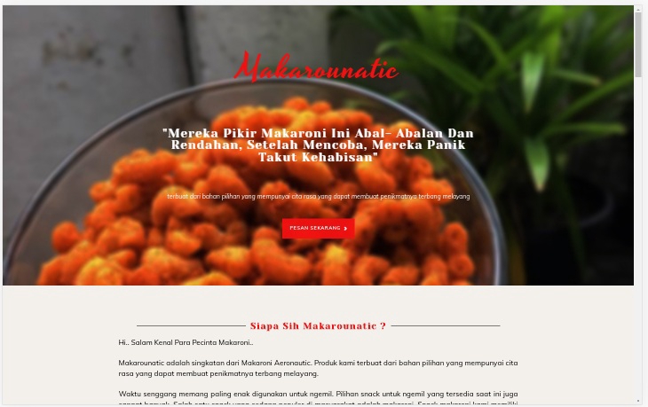 Web Development - Jasa Pembuatan Landing Page 1 Hari Jadi (Wordpress Base) - 6