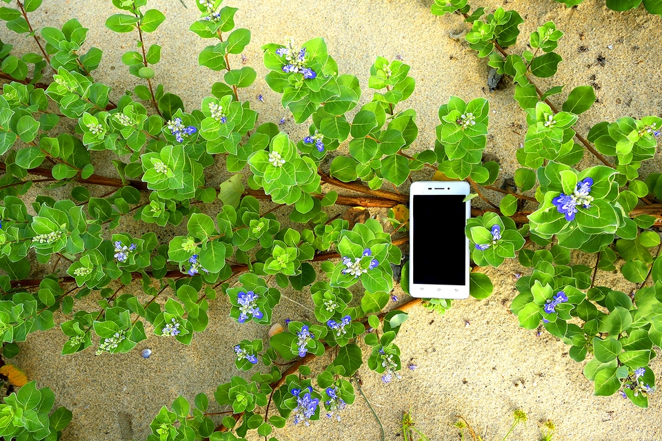 ไดคัท & Photoshop - งาน Adobe photoshop - 9